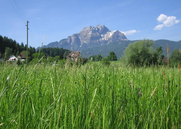 Hotel Felmis